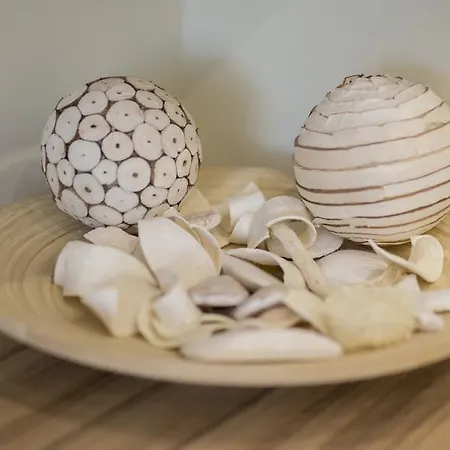 Take Your Time Daire Sofya